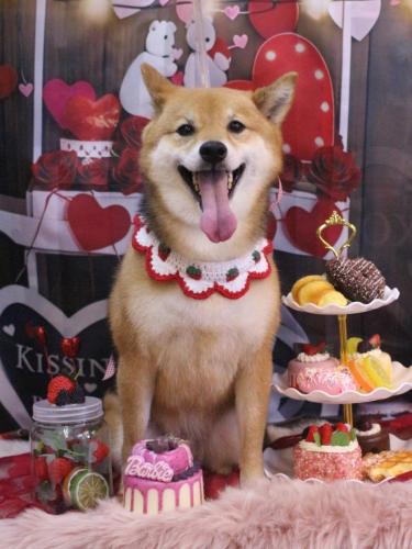 20250219リンちゃん